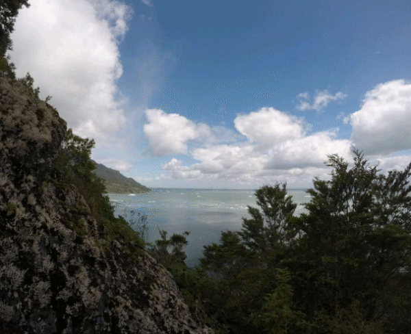Sendero Puntilla del Cisne